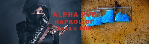 spice Беломорск