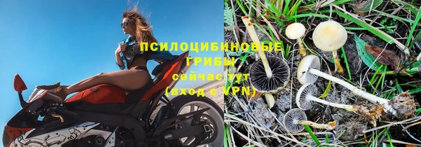 гидропоника Балабаново