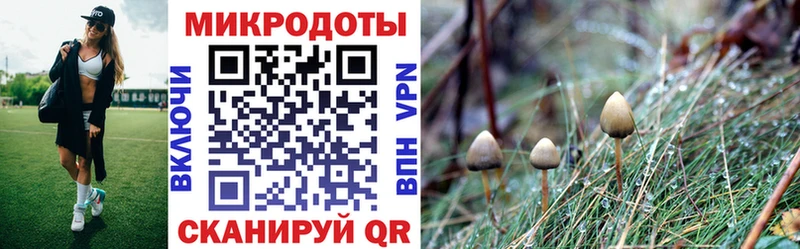 Галлюциногенные грибы ЛСД  купить   Брюховецкая 